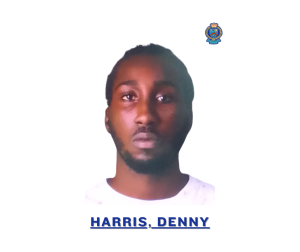 suspect